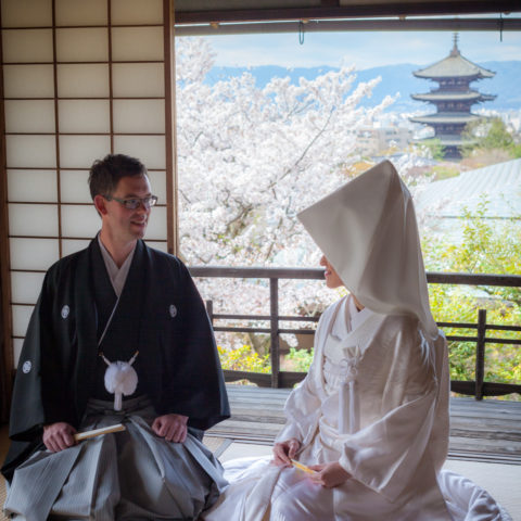 桜と八坂の塔を背景に撮影された新郎新婦