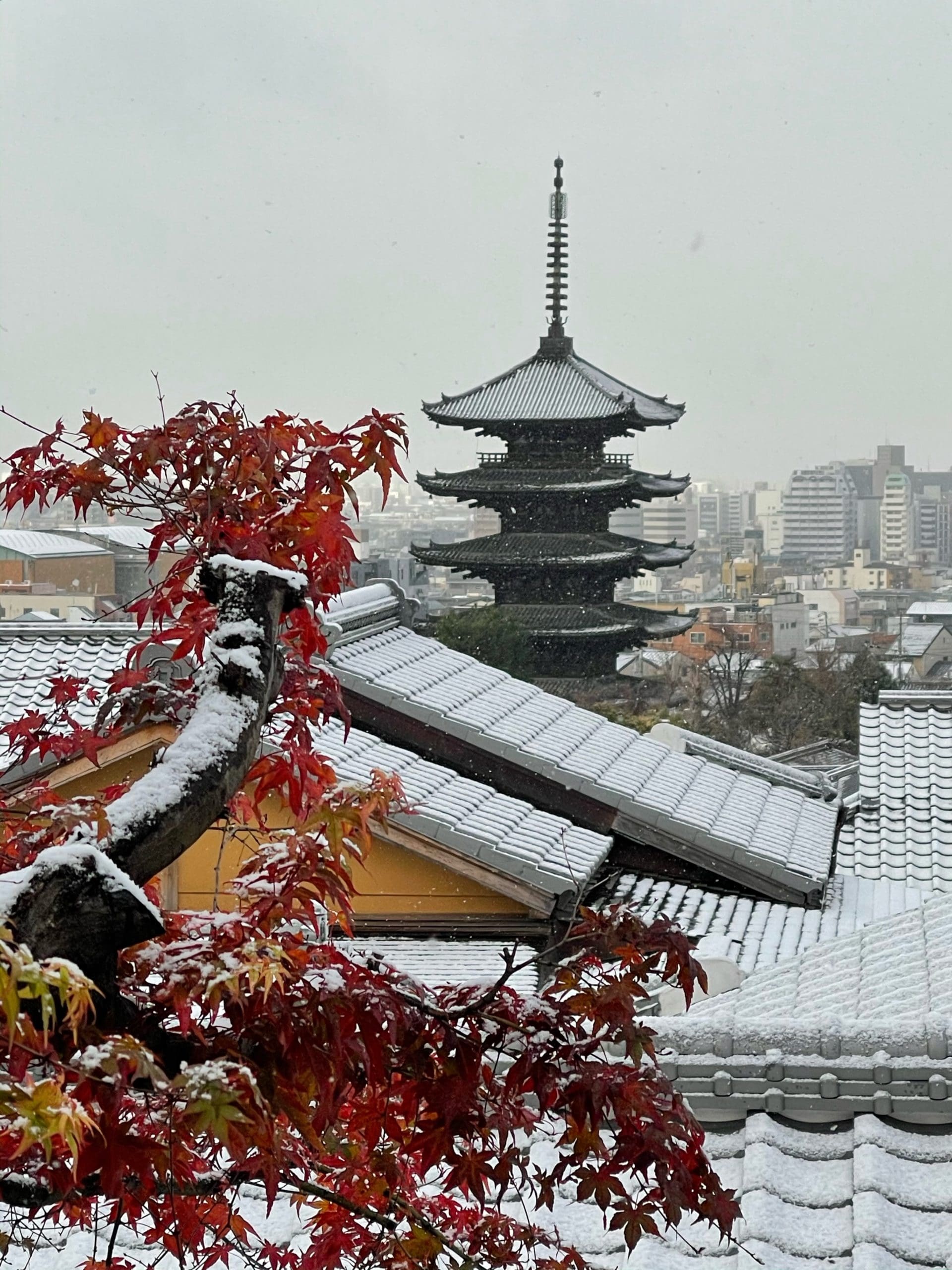 雪が積もった京の町並みと八坂の塔
